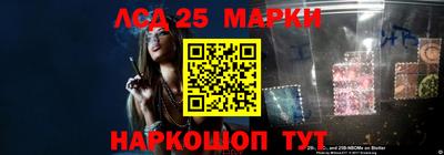 гашик Нарткала