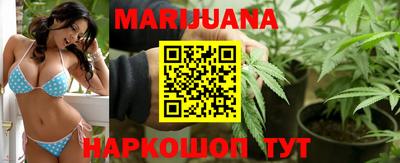 прущие грибы Нальчик