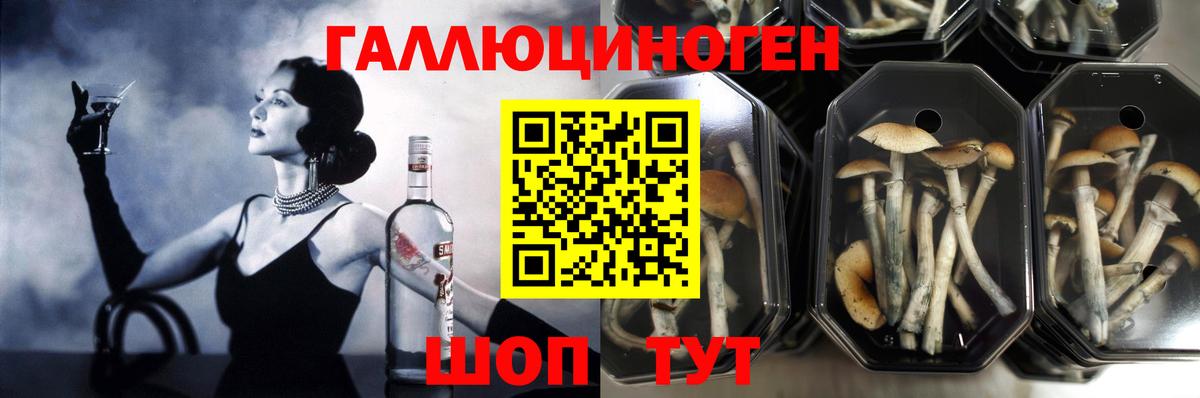Галлюциногенные грибы мицелий  Вход с VPN  Светлоград  Галлюциногенные грибы ЛСД 
